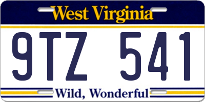 WV license plate 9TZ541