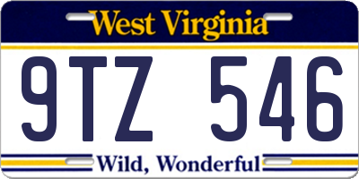 WV license plate 9TZ546