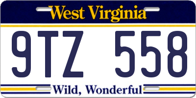 WV license plate 9TZ558