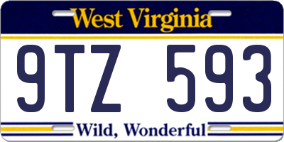 WV license plate 9TZ593