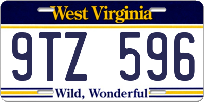 WV license plate 9TZ596