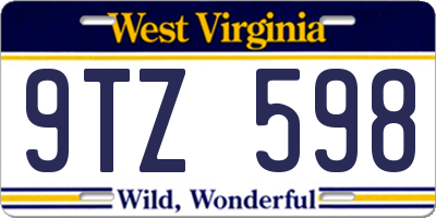 WV license plate 9TZ598