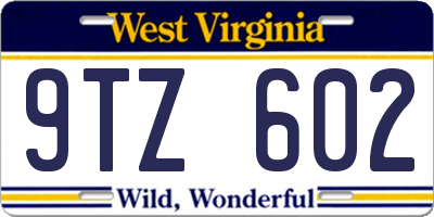 WV license plate 9TZ602
