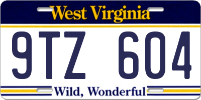 WV license plate 9TZ604