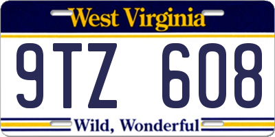 WV license plate 9TZ608