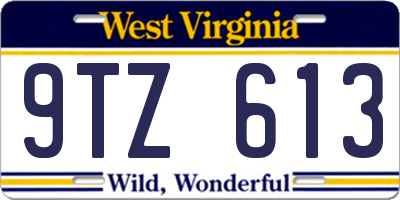 WV license plate 9TZ613