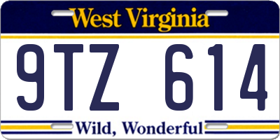 WV license plate 9TZ614