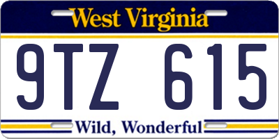 WV license plate 9TZ615