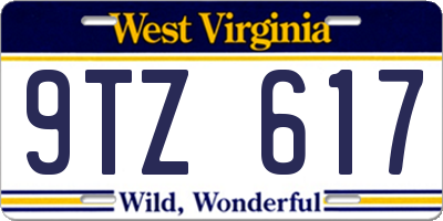 WV license plate 9TZ617
