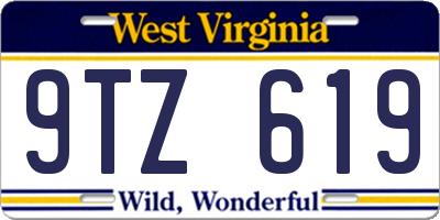 WV license plate 9TZ619