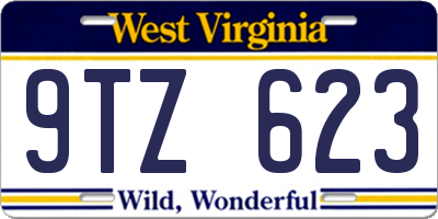 WV license plate 9TZ623