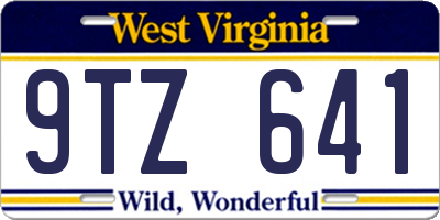 WV license plate 9TZ641