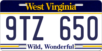 WV license plate 9TZ650
