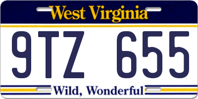 WV license plate 9TZ655