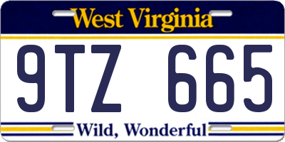 WV license plate 9TZ665