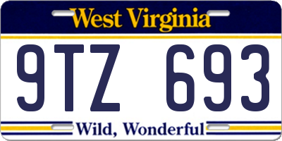 WV license plate 9TZ693