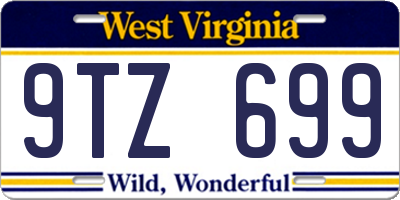 WV license plate 9TZ699