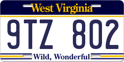 WV license plate 9TZ802
