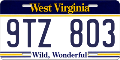 WV license plate 9TZ803