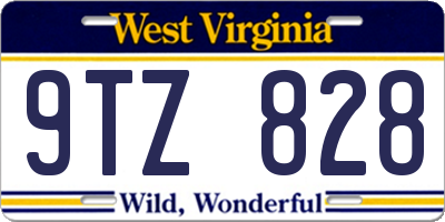 WV license plate 9TZ828