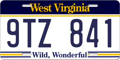 WV license plate 9TZ841