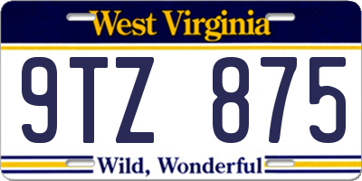 WV license plate 9TZ875