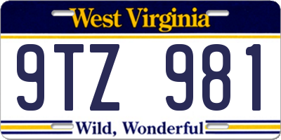WV license plate 9TZ981