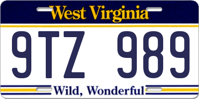 WV license plate 9TZ989