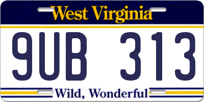 WV license plate 9UB313