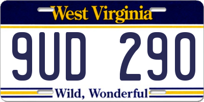 WV license plate 9UD290