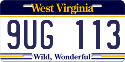 WV license plate 9UG113