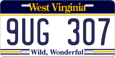 WV license plate 9UG307