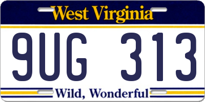 WV license plate 9UG313