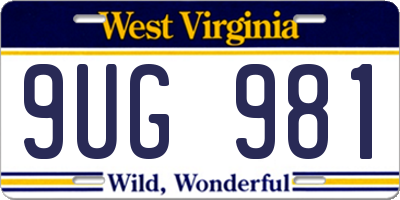 WV license plate 9UG981