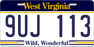 WV license plate 9UJ113