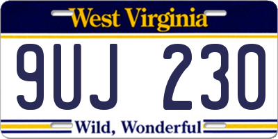 WV license plate 9UJ230