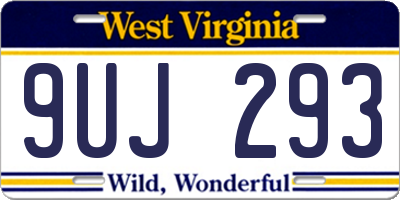 WV license plate 9UJ293