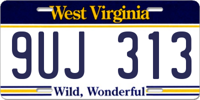 WV license plate 9UJ313