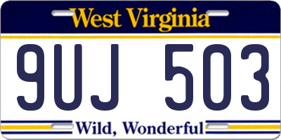 WV license plate 9UJ503