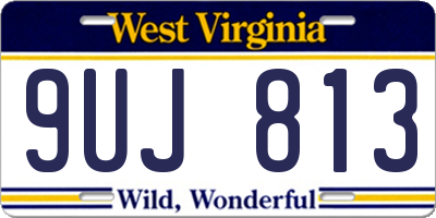 WV license plate 9UJ813