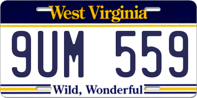 WV license plate 9UM559