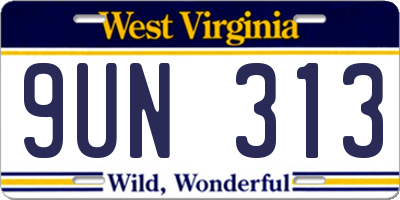 WV license plate 9UN313