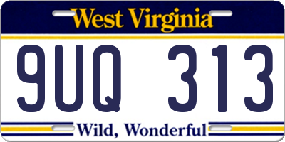 WV license plate 9UQ313