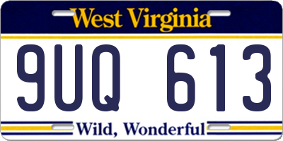 WV license plate 9UQ613