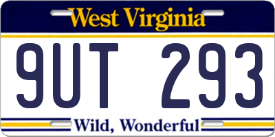 WV license plate 9UT293