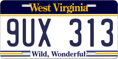 WV license plate 9UX313