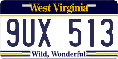 WV license plate 9UX513