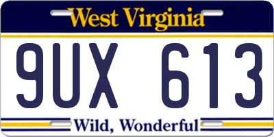 WV license plate 9UX613