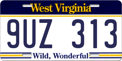 WV license plate 9UZ313
