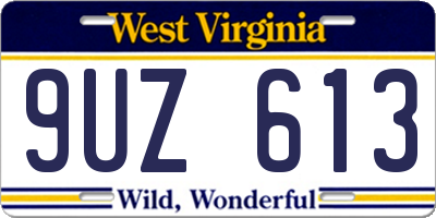 WV license plate 9UZ613